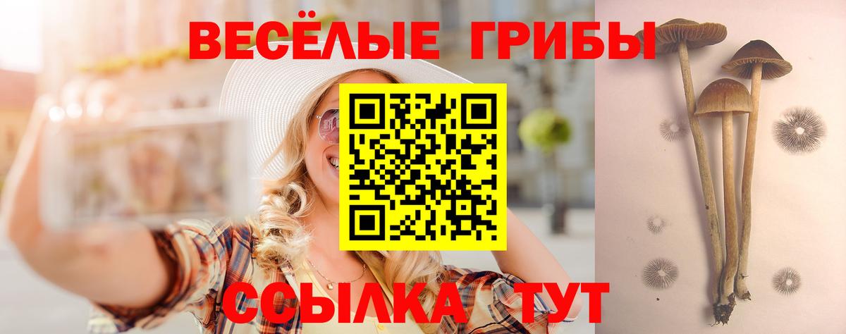 Псилоцибиновые грибы Magic Shrooms  Псилоцибиновые грибы Psilocybine cubensis  Вход с VPN  Ярцево 